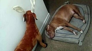 More ways to show off my zodiacs patience without masturbating 4