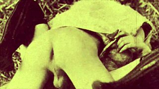 dark lantern entertainment presents my secret life the erotic confessions of a victorian english gentleman