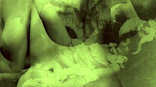 dark lantern entertainment presents my secret life the erotic confessions of a victorian english gentleman