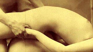 dark lantern entertainment presents my secret life the erotic confessions of a victorian english gentleman