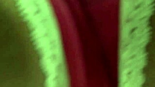 Catalina Taylor's Passionate Encounter.