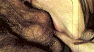 Dark Lantern Entertainment Presents Vintage Taboo Family From My Secret Life The Erotic Confessions Of A Victorian English Gentleman