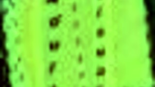 Redhead With Big Tits Plays Game And Shows Ass. Big Ass On Display.