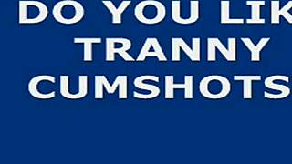 The story of a big shooter ladyboy in her daily life.