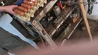 Straight farmer guy convinced for ranch handjob session.