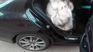 fucked stranger hard at theater, cum on face!!