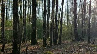 female slave self-spanking outdoors in public exposure