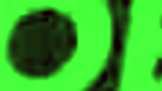 Liya silver wants assfucking now