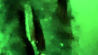 New Couples Enjoying Their Honeymoon