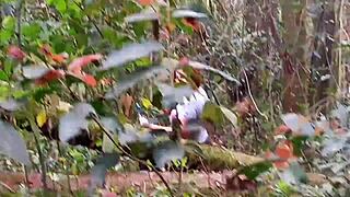 hey, guy paid to see my big pussy flashing in the park