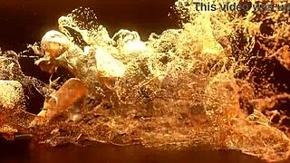 Vicky Demon's Intense First Anal with Lancelot