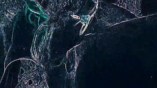 Warning: Club Mix Lighting Rimming and BJ in Night Club Setting