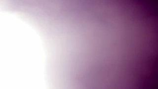 Le Chupo el Coño a Mi Hermanastra Linda Susy con Culo Sexy