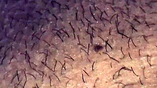 Slut wife explodes husband with handjob