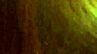 trimmed shemale transsexual gives oral blowjob