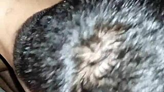 Delicious Blowjob After Cumshot