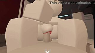 Verification Video With New Partner Without Audio