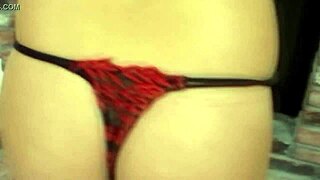 Cute girl with piercing on tits in sexy blowjob action