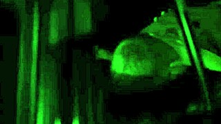 Teacher catches student in intense fucking session