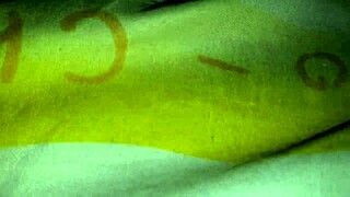 Skipped university for some fun