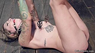 Clamped With Pins Blonde Is Suspended And Whipped Bound Tied Up In Kinky Bdsm Rough Bondage Slave Deepthroat