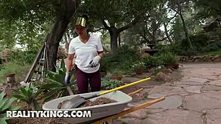 curvy brunette tommy king squirts while neighbor drills her ass 😍💦