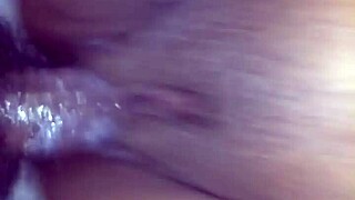 Pregnant and Ready - Are You Up for This Wild Ride?