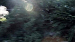 Amateur Caught Flashing Shaved Pussy In Balboa Park San Diego