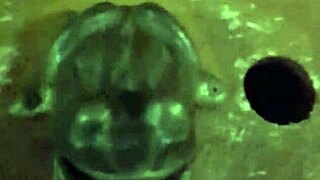 Rana's getting a facial fuck and cumshot given by hand with gloves