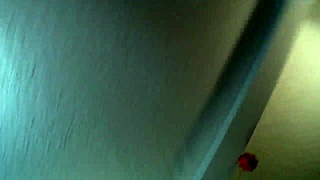 i pegged tracer's fat ass and he loved it, i bet you will too