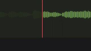 Neighbor's Incredible Audio