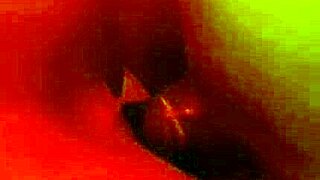 Stranger Eats My Wife In Bedroom