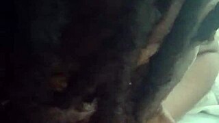 i love giving sloppy blowjobs to monster cocks close up, feeling every inch as an ebony bbw