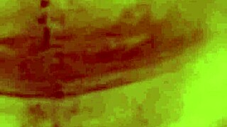 roommate rides perfectly in dorm bed