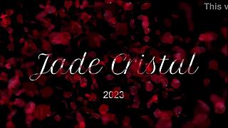 Skinny Brunette Poses in Fishnets and Lingerie