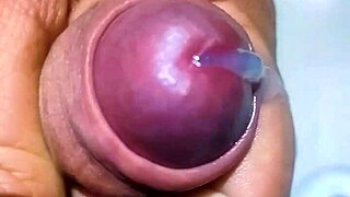 Hidden man in the bathtub sink completely removing seed