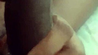 i love giving sloppy blowjobs to monster cocks close up, feeling every inch as an ebony bbw