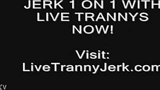 Shemale Cum on Legs and Feet