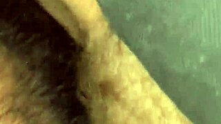 outdoor sex on car with hairy black beaver action!