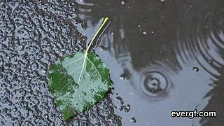 Nevaljali drug jebe ljubavnicu za pare dok goli tip gleda