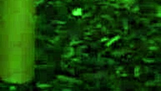 Exploring Paradise Trails VR Part 2