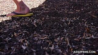 Sunbathing Among Two Cocks