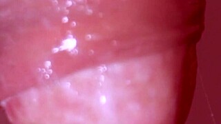 japanese porn story with close up blowjob