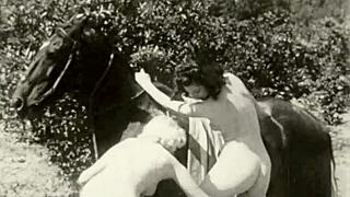 dark lantern entertainment presents