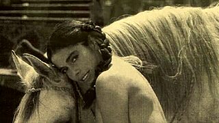 dark lantern entertainment presents