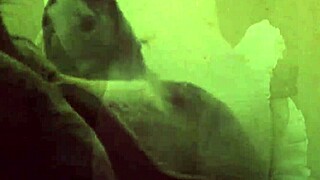 dark lantern entertainment presents