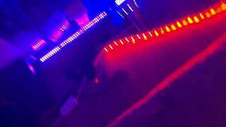 la dh xxx home tour hollywood lifestyle with big cock and bubble butt 😎