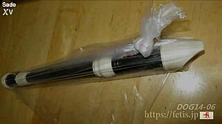 asian girl feels intense emotions during dog sniffing and urine play