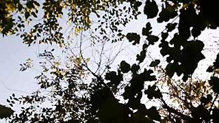 Watching Two Girlfriends Masturbate in Forest, Guarding Their Orgasms