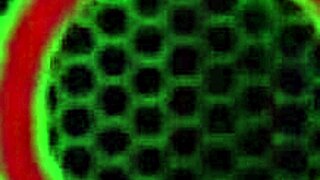 does lucky moe destroy sara jay's mature cunt?